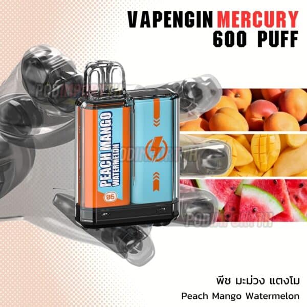 พอต พอตใช้แล้วทิ้ง พอตไฟฟ้า Vapengin