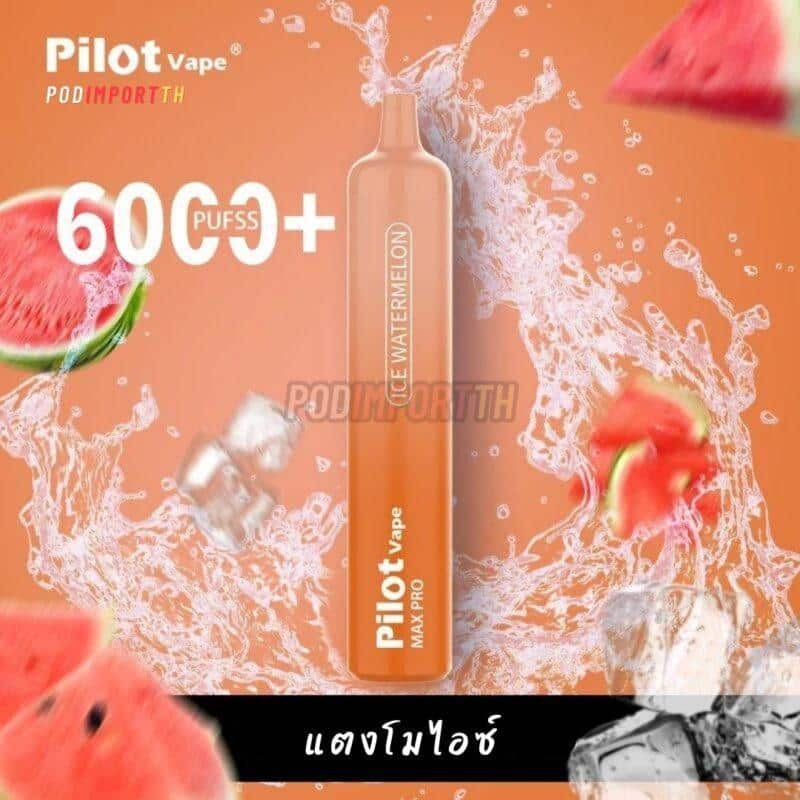 พอต พอตใช้แล้วทิ้ง พอตจมูก Pilot