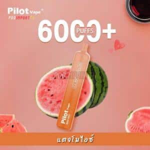 พอต พอตใช้แล้วทิ้ง พอตจมูก Pilot